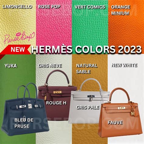 hermes 2023 colours|hermes birkin color chart.